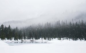 Inverno Estação do Ano Para se Casar