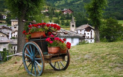 Escolher a Estação do Ano Para se Casar