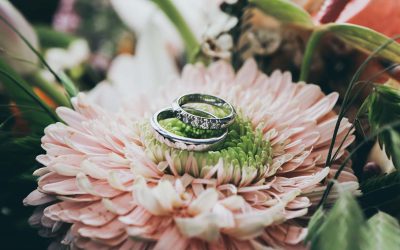 Vinte e cinco anos de casamento